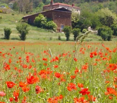L'auberge De Vazerat Massiac
