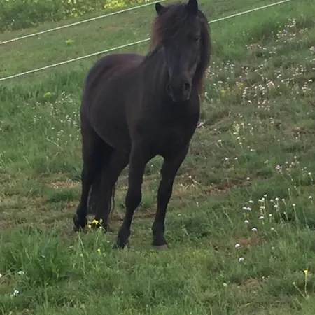 L'auberge De Vazerat Massiac