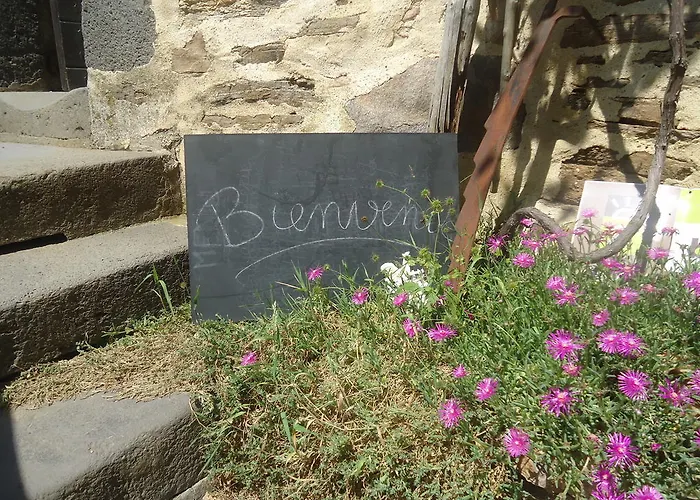 فندق مبيت وإفطار L'auberge De Vazerat 3*